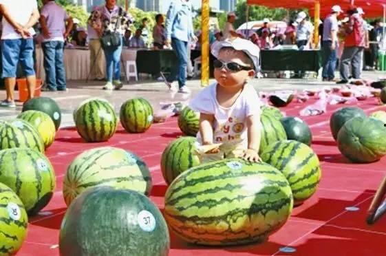 每日吃瓜大赛入口,揭秘娱乐圈幕后风云