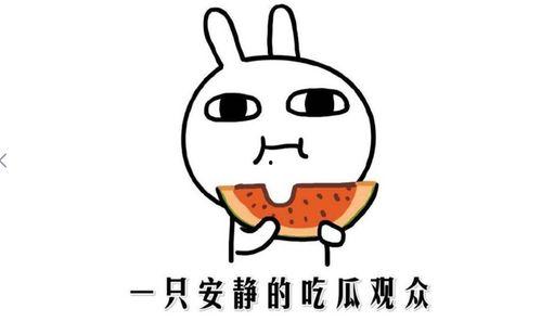 吃瓜事件什么意思