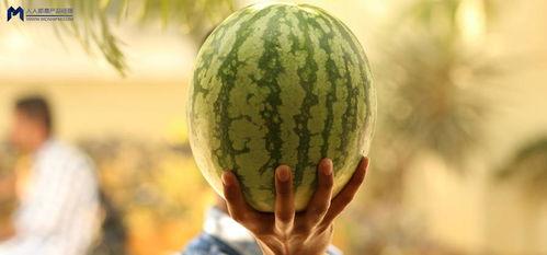 2021年娱乐圈吃瓜,瓜田李下，明星们的年度大揭秘