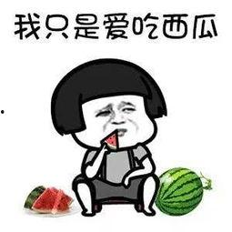 娱乐吃瓜头像